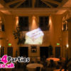 Hollywood Bundle 2 - Image 19
